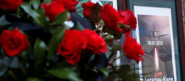 Homenaje a las víctimas  de la catástrofe aérea del avión Boeing 737-800 en Irán - Sputnik Mundo