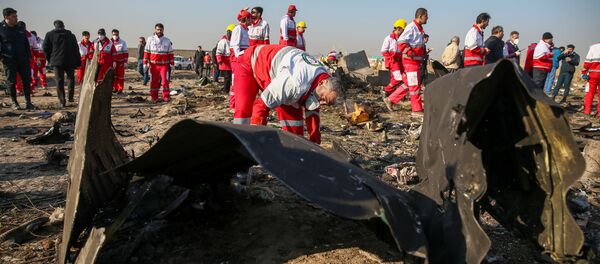Lugar del siniestro del avión ucraniano cerca del aeropuerto de Teherán - Sputnik Mundo