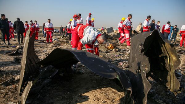 Lugar del siniestro del avión ucraniano cerca del aeropuerto de Teherán - Sputnik Mundo