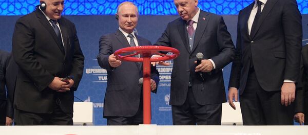 El primer ministro búlgaro, Boiko Borisov; el presidente de Rusia, Vladímir Putin; el presidente turco, Recep Tayyip Erdogan; y el presidente serbio, Aleksandar Vucic, en la inauguración del Turk Stream - Sputnik Mundo