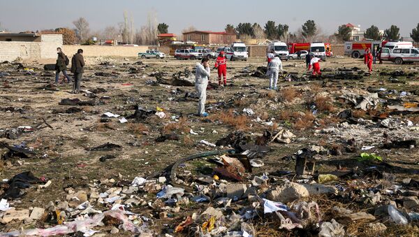 Lugar del siniestro del avión ucraniano cerca del aeropuerto de Teherán Lugar del siniestro del avión ucraniano cerca del aeropuerto de Teherán - Sputnik Mundo