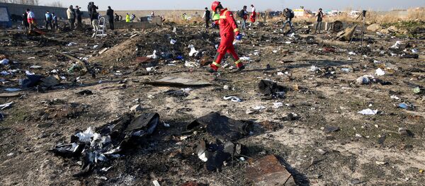 Lugar del siniestro del avión ucraniano cerca del aeropuerto de Teherán - Sputnik Mundo