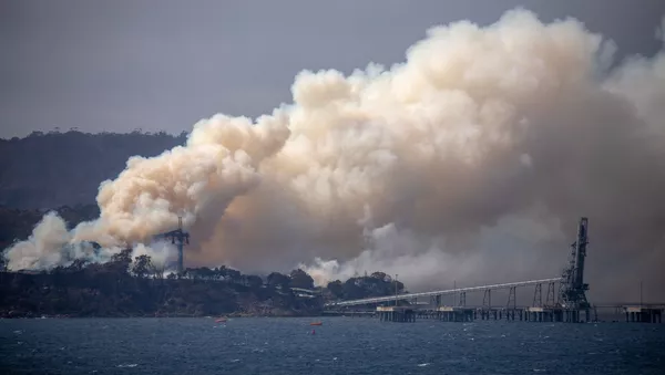 Humo de incendios forestales en Australia - Sputnik Mundo