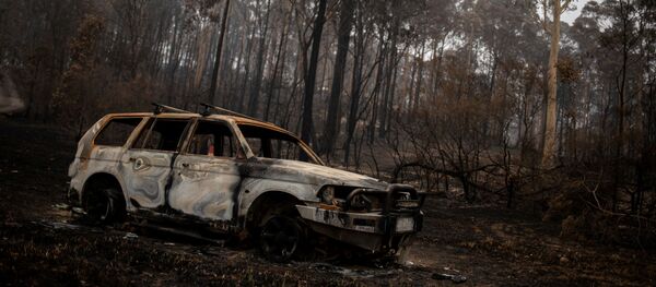 Последствия лесного пожара в Австралии - Sputnik Mundo