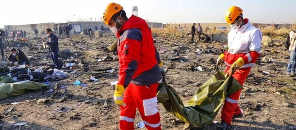 Lugar del siniestro del avión ucraniano Boeing 737 en Teherán, Irán - Sputnik Mundo