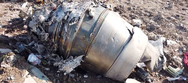 Restos del Boeing 737 ucraniano derribado en Irán Restos del Boeing 737 ucraniano derribado en Irán - Sputnik Mundo