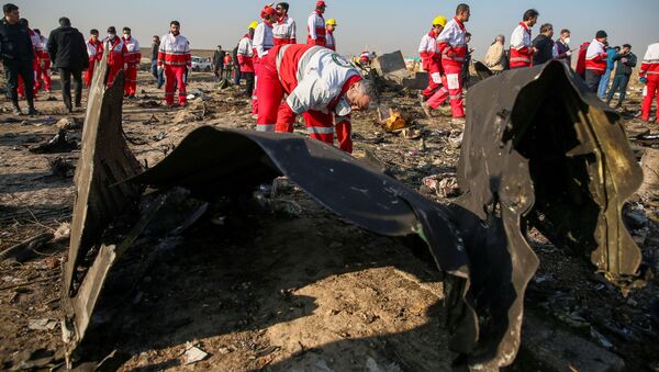 El lugar del siniestro del avión ucraniano en Irán - Sputnik Mundo