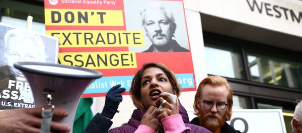 Partidarios del fundador de Wikileaks, Julian Assange - Sputnik Mundo