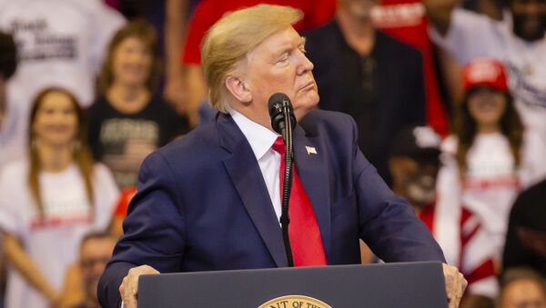 Donald Trump, presidente de Estados Unidos Donald Trump, presidente de Estados Unidos - Sputnik Mundo