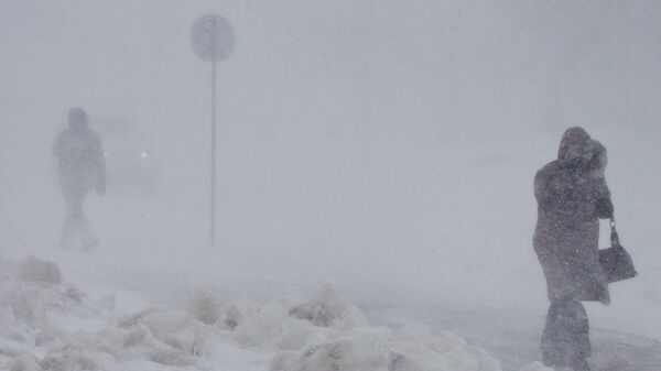 Una fuerte tormenta de nieve - Sputnik Mundo