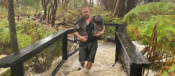 La lluvia y el granizo azotan Australia tras meses de incendios forestales - Sputnik Mundo