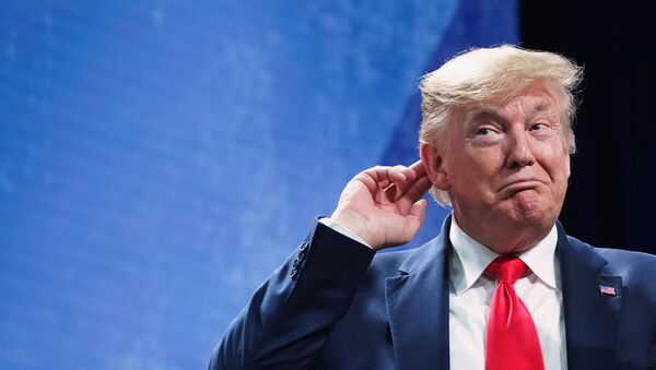 Donald Trump, el presidente de EEUU - Sputnik Mundo