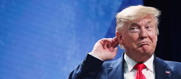 Donald Trump, el presidente de EEUU - Sputnik Mundo