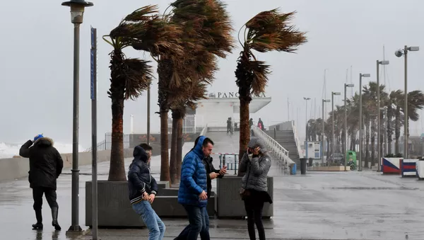 La devastación que dejó Gloria tras su paso por España y Francia
