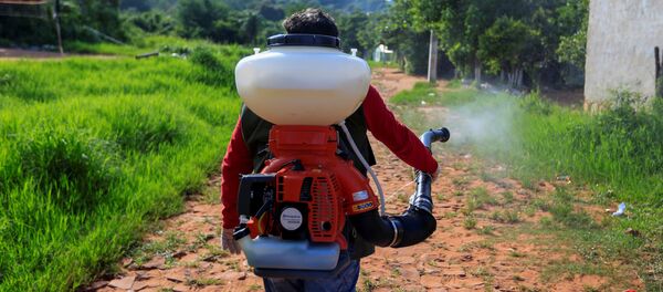 La fumigación por emergencia nacional en Paraguay ante el repunte de casos de dengue - Sputnik Mundo