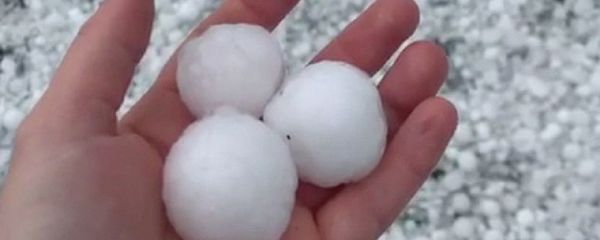 Una persona sostiene dos granizadas durante una tormenta de granizo en Canberra, Australia  - Sputnik Mundo