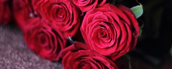 Rosas  - Sputnik Mundo