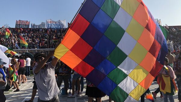 Un hombre ondeando una whipala durante la conmemoración de la creación del Estado Plurinacional de Bolivia en Buenos Aires, Argentina - Sputnik Mundo