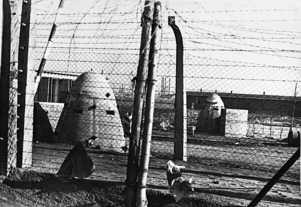 Hace 75 años, la Unión Soviética liberó a los prisioneros de Auschwitz - Sputnik Mundo