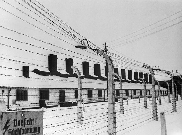 Hace 75 años, la Unión Soviética liberó a los prisioneros de Auschwitz - Sputnik Mundo