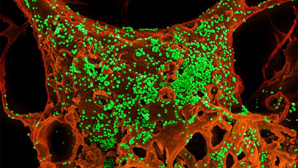 Coronavirus - Sputnik Mundo