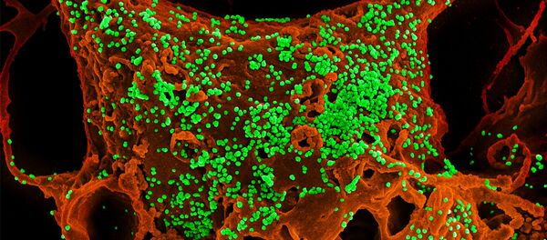 Coronavirus - Sputnik Mundo