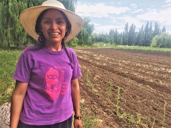 Se siente de lejos: el golpe en Bolivia dolió hasta en la Patagonia argentina - Sputnik Mundo