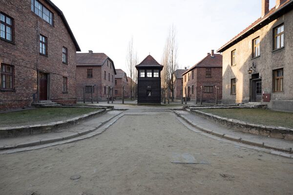 Holocausto: historia del horror - Sputnik Mundo