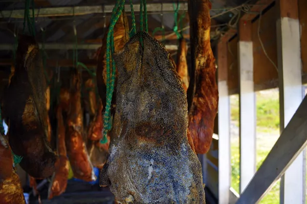 Tiburón podrido, vikingos, sacrificios y vodka islandés: así es el mes thorri Tiburón podrido, vikingos, sacrificios y vodka islandés: así es el mes thorri - Sputnik Mundo