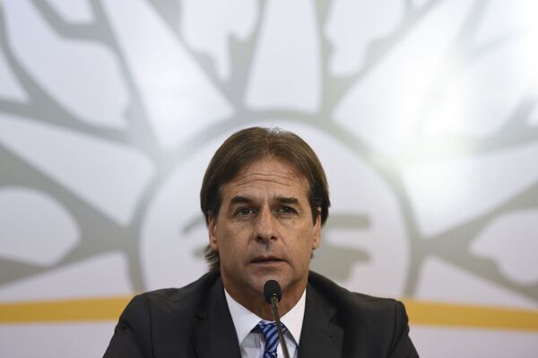 Senador Gandini: Uruguay es un país muy estable, que no hace locuras - Sputnik Mundo