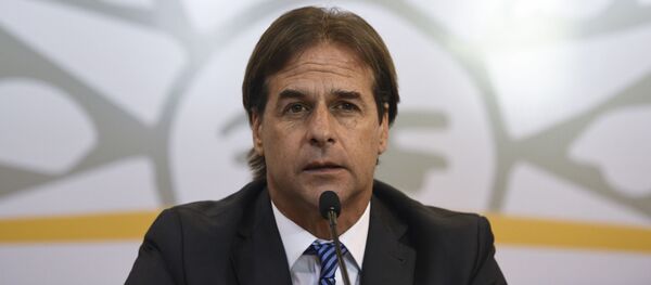 Luis Lacalle Pou, presidente electo de Uruguay Luis Lacalle Pou, presidente electo de Uruguay - Sputnik Mundo