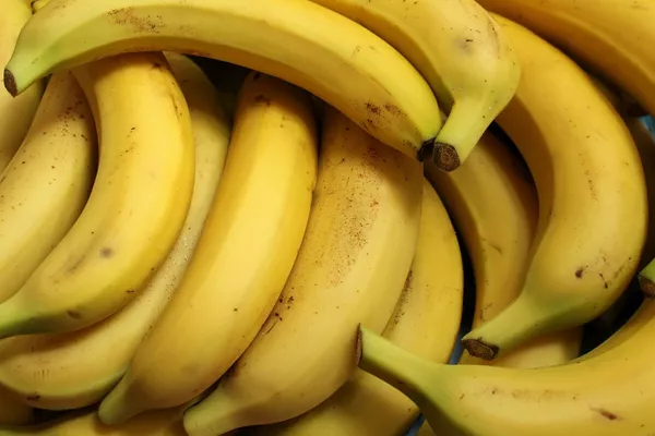 Menos grasa y más músculo: los médicos revelan los 7 mejores alimentos para ponerse en forma Menos grasa y más músculo: los médicos revelan los 7 mejores alimentos para ponerse en forma - Sputnik Mundo