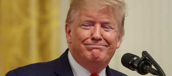 Donald Trump, presidente de Estados Unidos Donald Trump, presidente de Estados Unidos - Sputnik Mundo