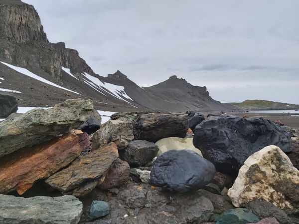 Antártida, el continente que es la esperanza de la humanidad - Sputnik Mundo