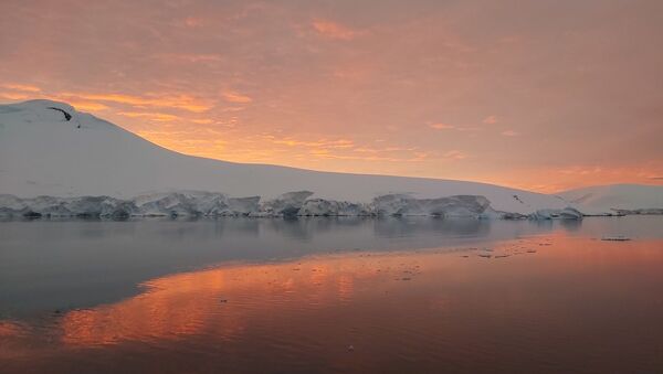 Atardecer en el Canal de Neumayer - Sputnik Mundo