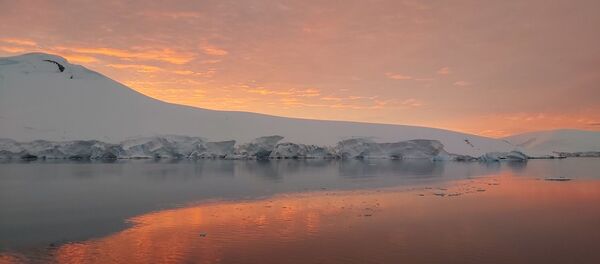 Atardecer en el Canal de Neumayer - Sputnik Mundo