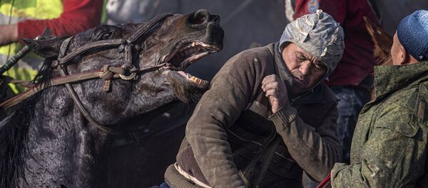 Kirguistán: el país de uno de los deportes más extraños del mundo - Sputnik Mundo