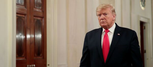 Donald Trump, el presidente de EEUU - Sputnik Mundo