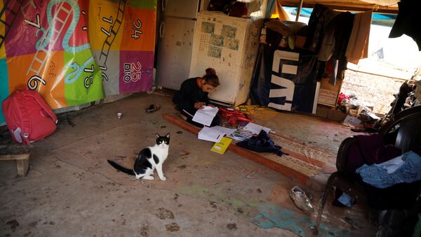 Una chica en su tienda familiar haciendo sus tareas - Sputnik Mundo