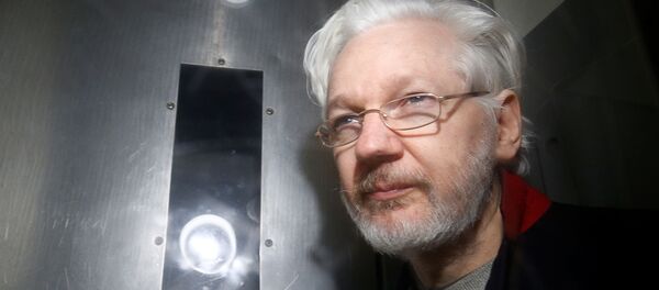 Julian Assange, el fundador de WikiLeaks  - Sputnik Mundo