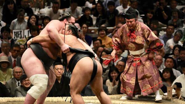 Sumo, foto de archivo - Sputnik Mundo