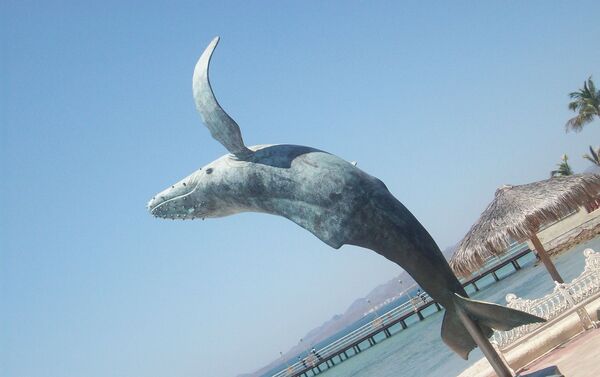 La Paz, México La Paz, México - Sputnik Mundo