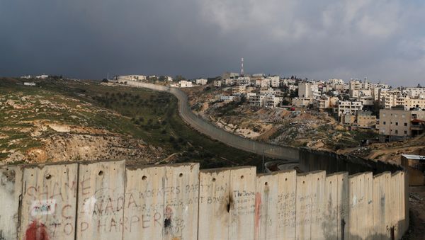 El muro que divide los teerritorios de Israel y Palestina El muro que divide los teerritorios de Israel y Palestina - Sputnik Mundo