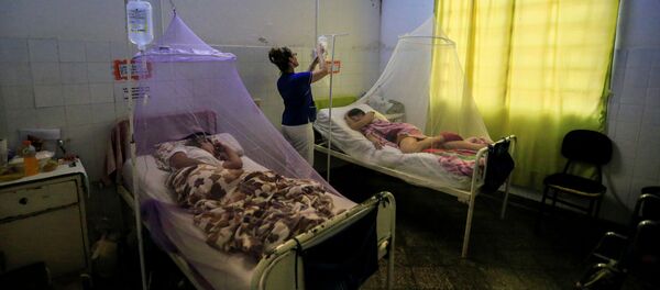 Las personas afectadas por dengue en Paraguay Las personas afectadas por dengue en Paraguay - Sputnik Mundo