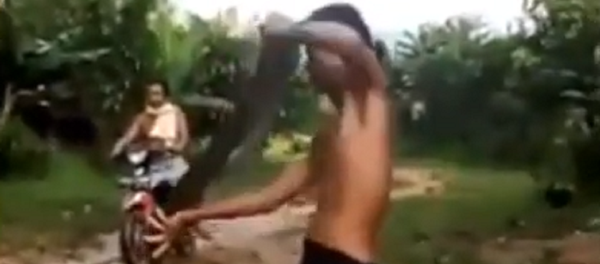 Una cobra real le clava los colmillos en toda la cara a un hombre - Sputnik Mundo