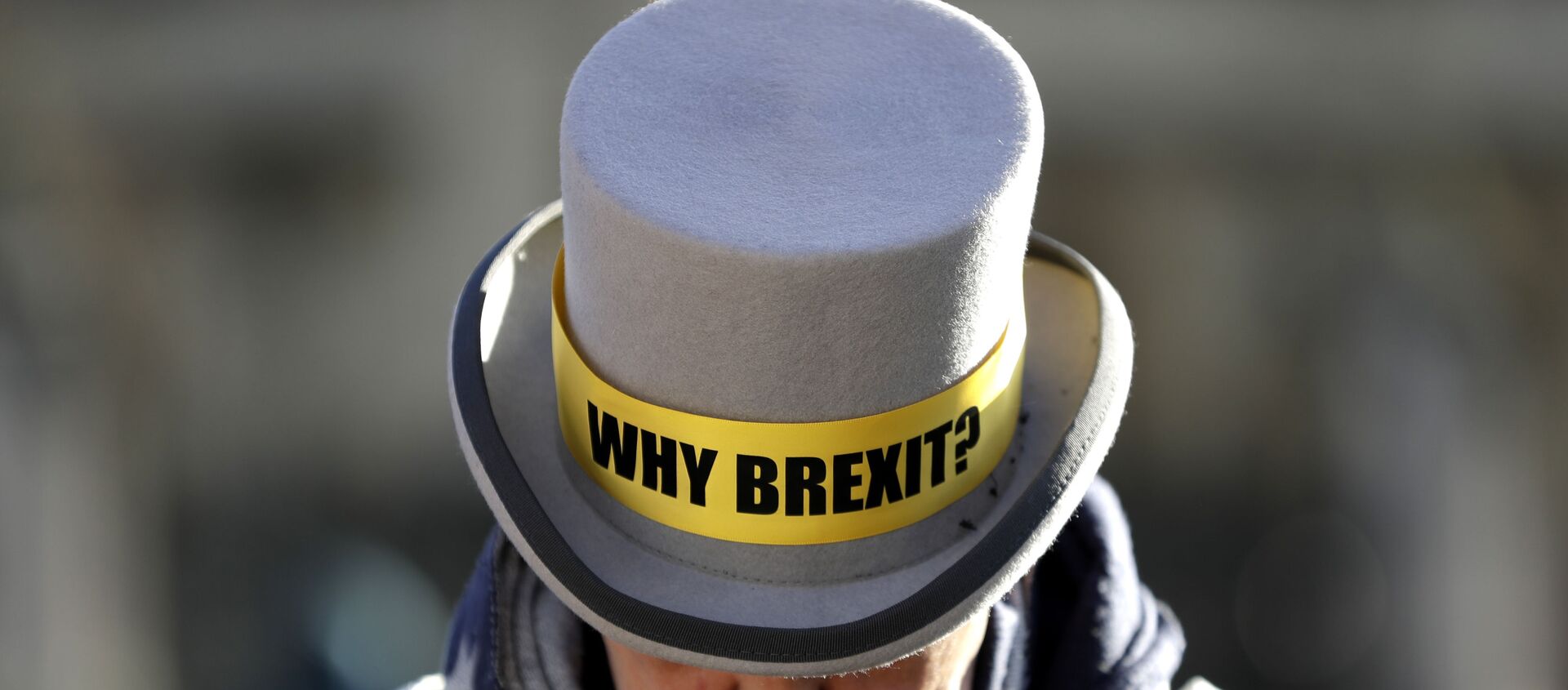 Un manifestante en contra del Brexit - Sputnik Mundo, 1920, 30.01.2020
