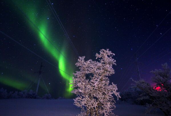 Como en un cuento: así se ven las auroras boreales en Rusia - Sputnik Mundo