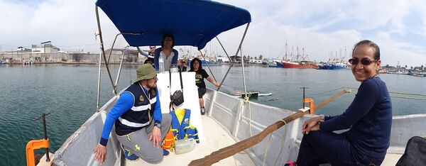 ¿Los microplásticos son culpables de la infertilidad masculina? - Sputnik Mundo