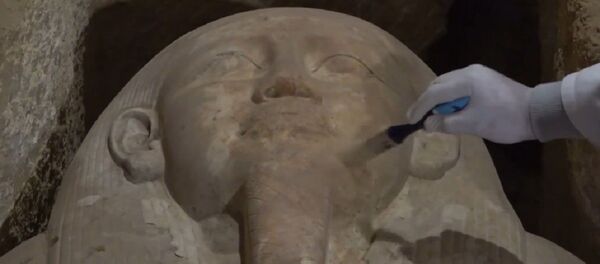 Sarcófagos, momias y cráneos: desvelan 16 antiguas tumbas de sacerdotes en Egipto - Sputnik Mundo