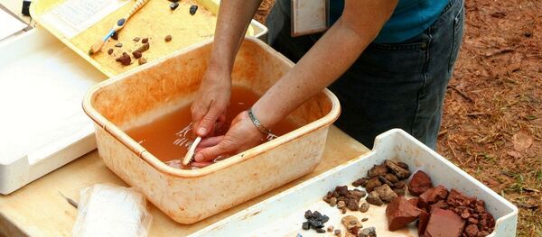 Un paleontólogo limpia hallazgos arqueológicos (archivos) - Sputnik Mundo